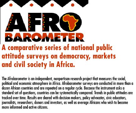 afrobarometer1.jpg